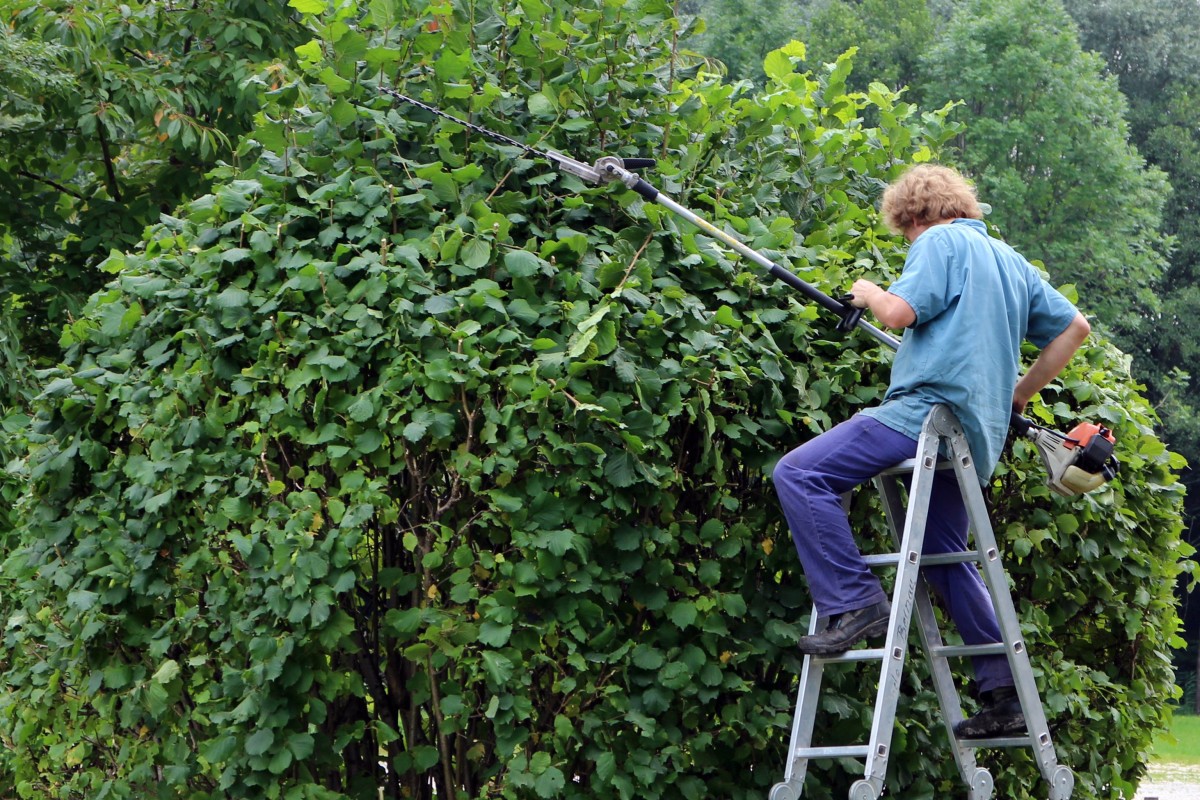 Garden Maintenance Example