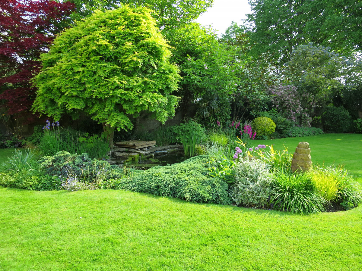 Landscaping and Design Example