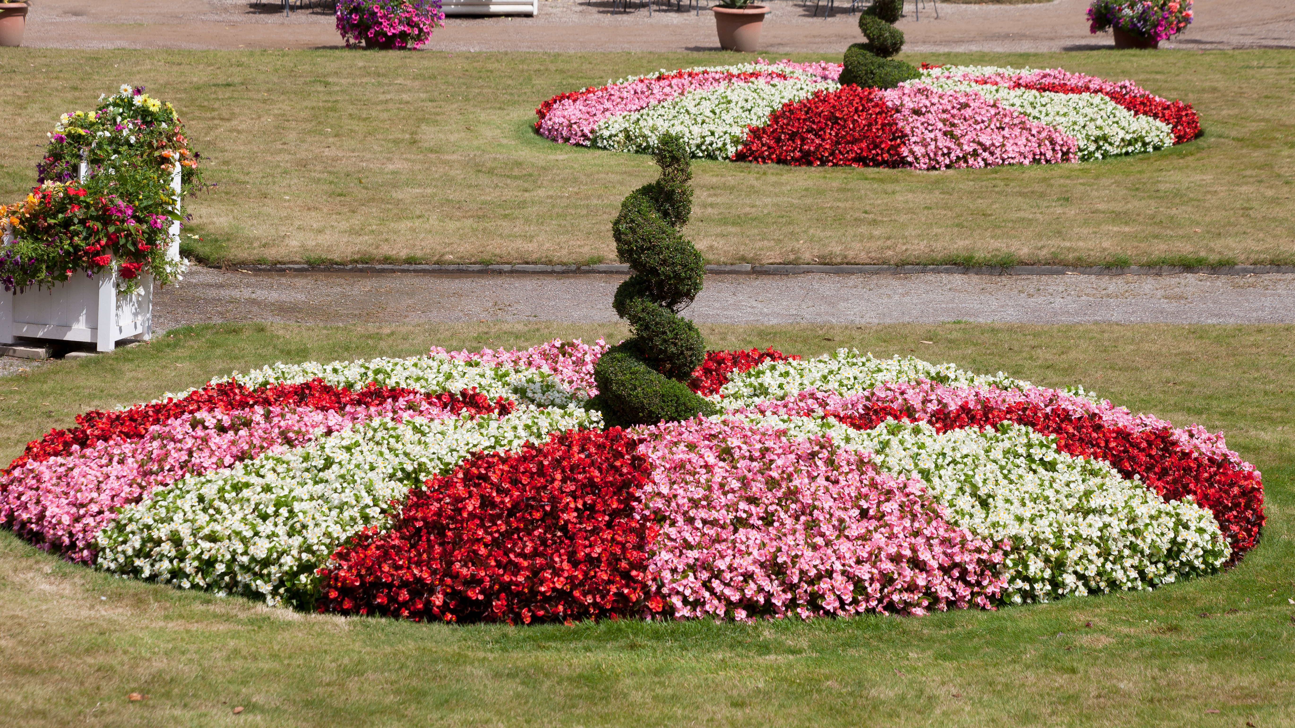 Garden border maintenance and professional weeding
