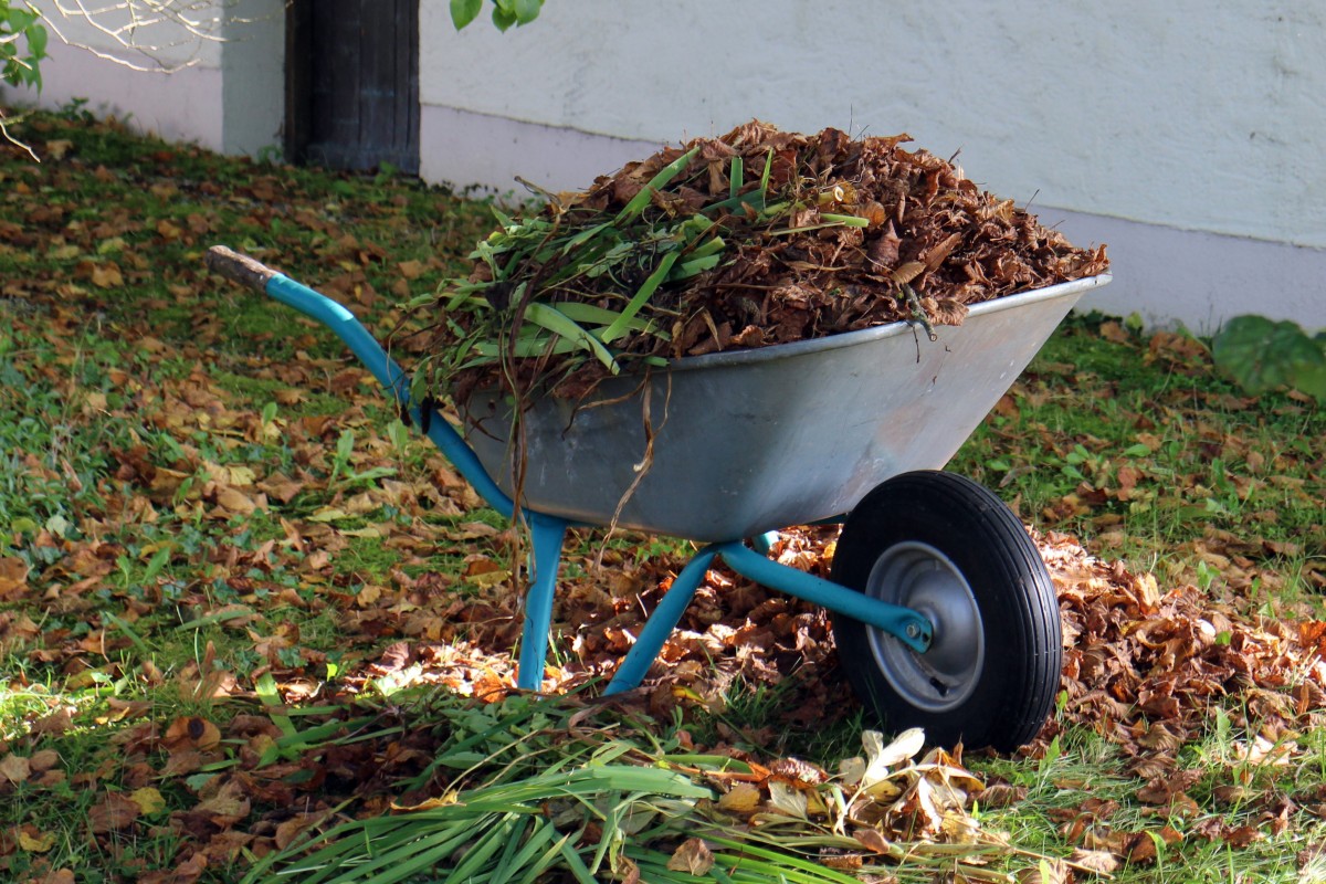 Small residential green space clearance