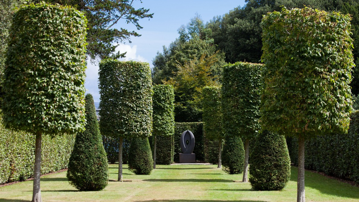 Neatly shaped residential hedge