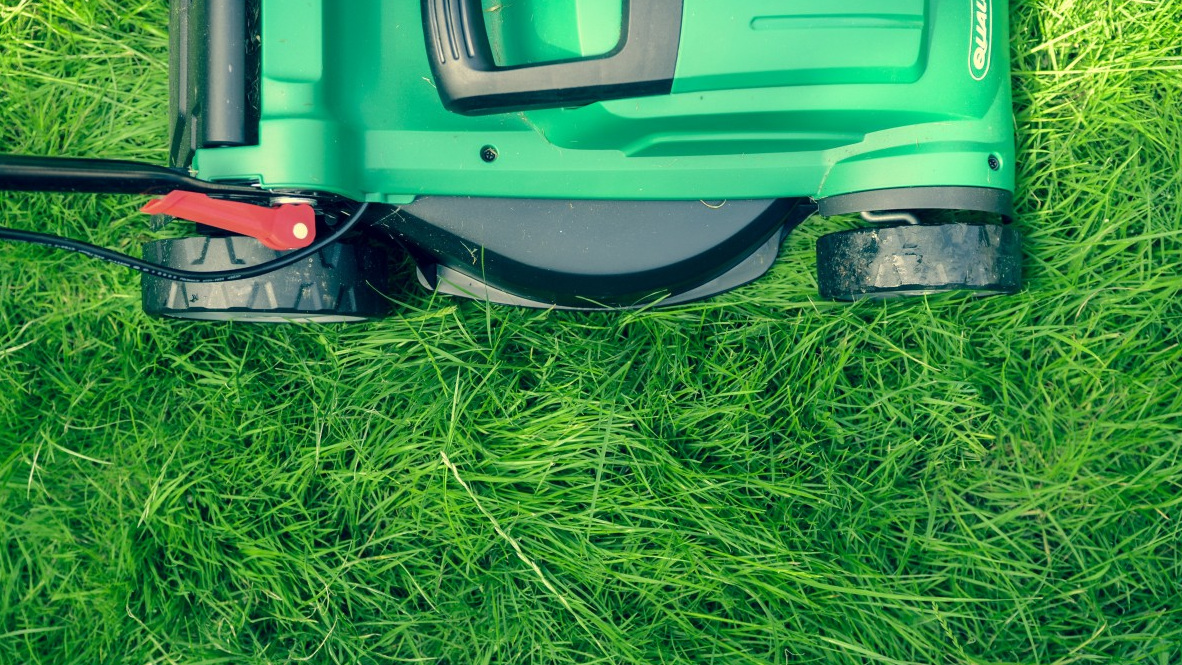 Professional garden maintenance and border care