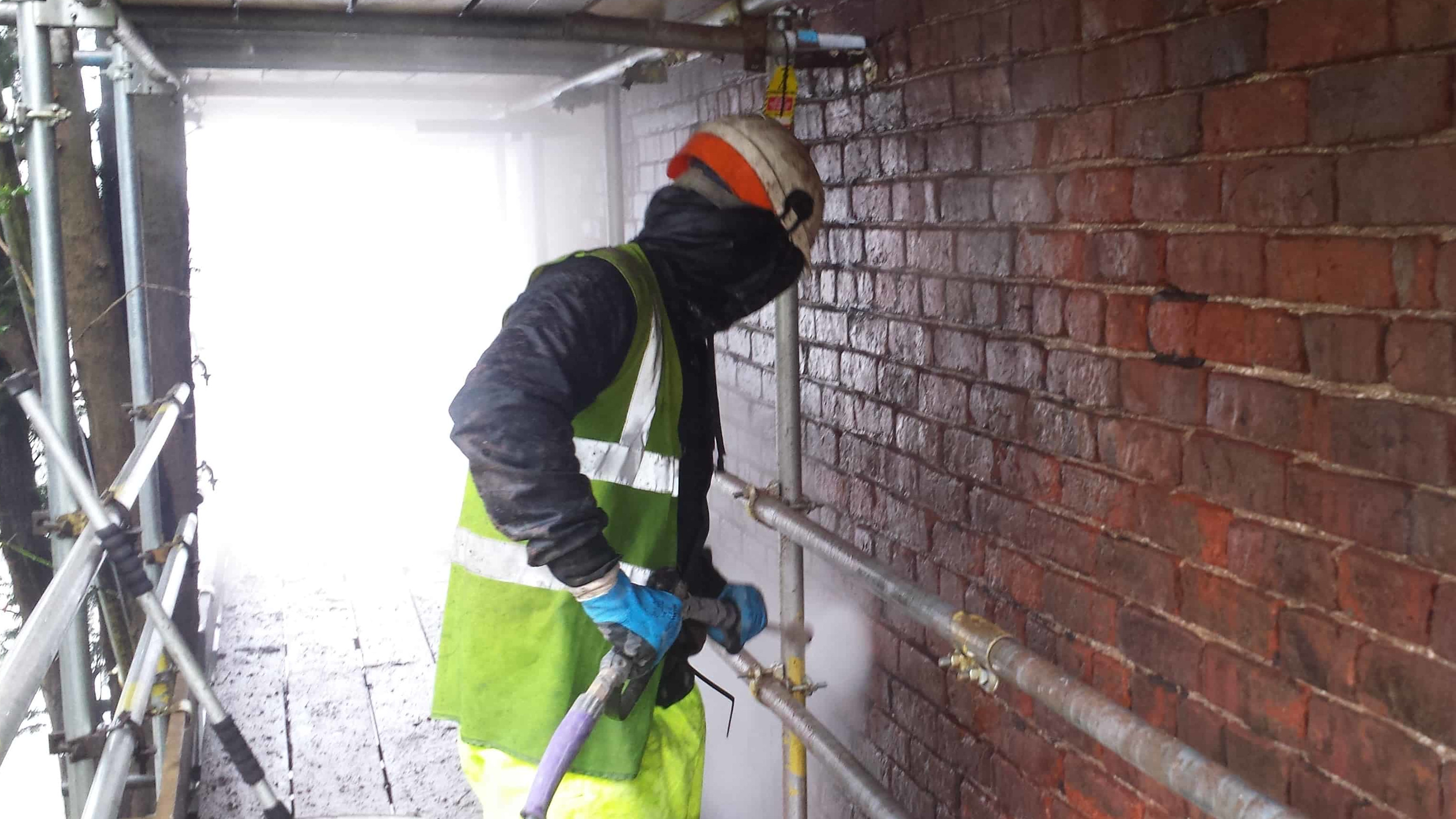 Professional pressure washing of exterior walls and garden paths