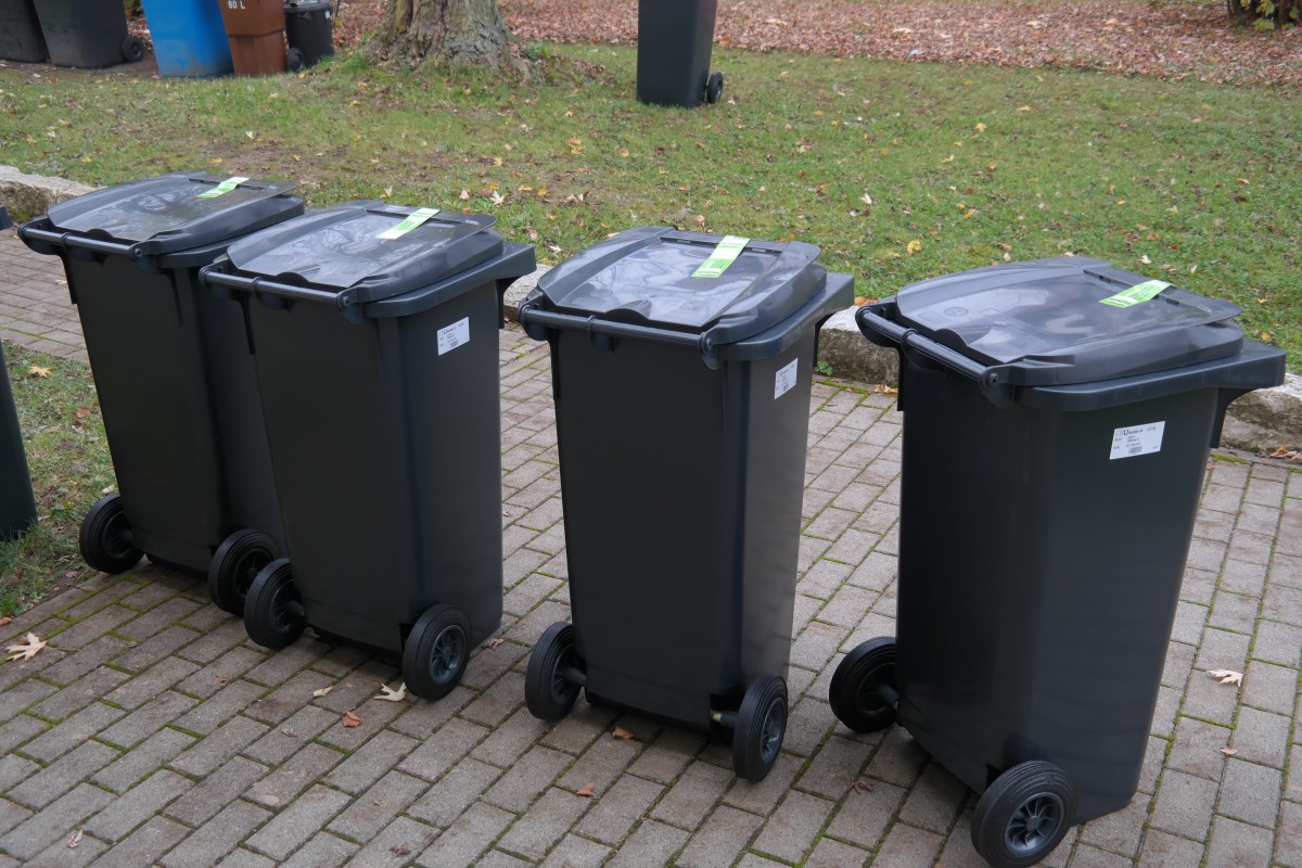 Green waste ready for removal
